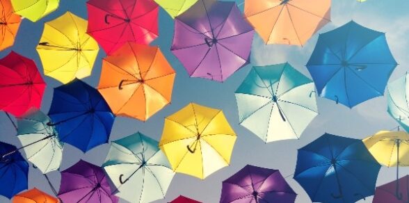 Equity, Diversity and Inclusion