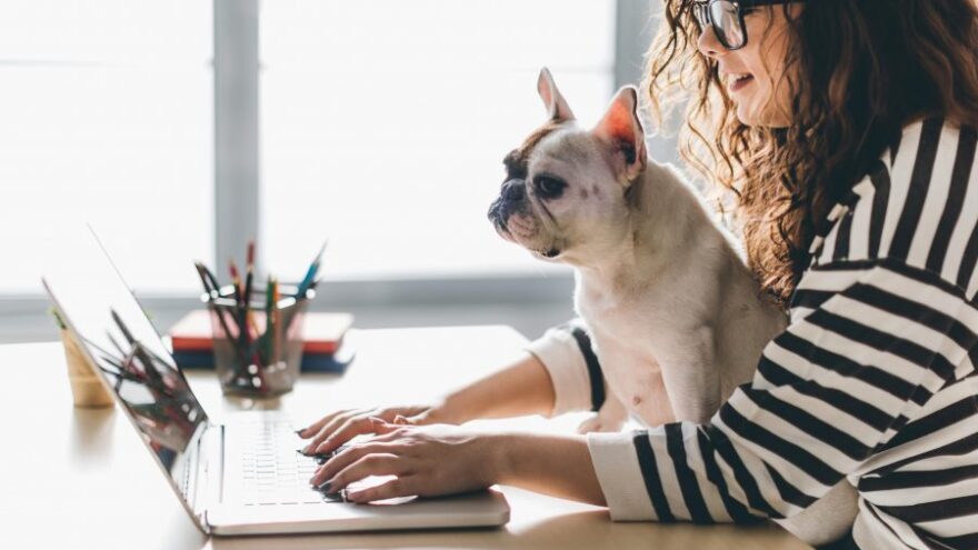 Young woman with dog in office