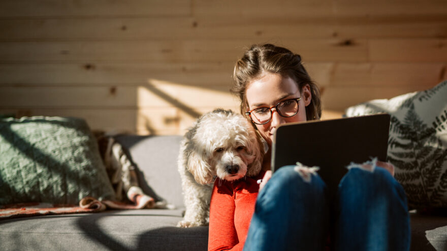 Woman with dog working on a laptop