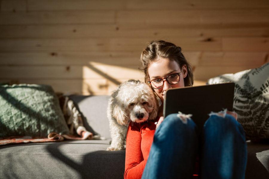 Woman working at home with dog