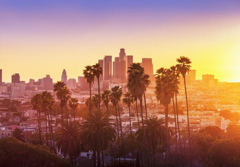 Downtown Los Angeles with Palm Trees in the foreground