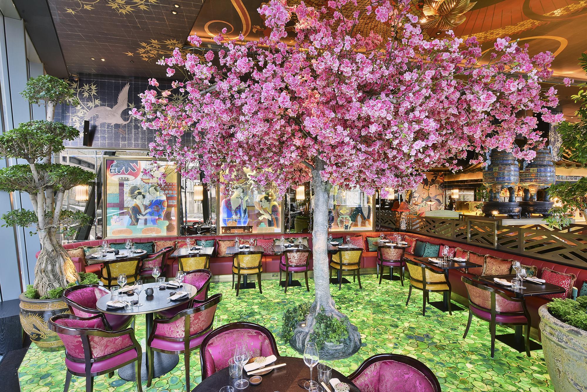 The Ivy Asia