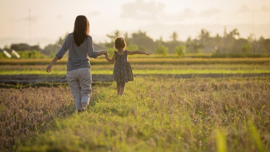 A nanny holding the hand of a child as they walk through a sunlit, grassy field.