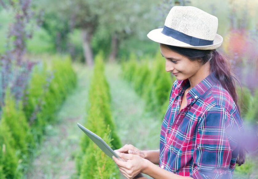 woman works in field