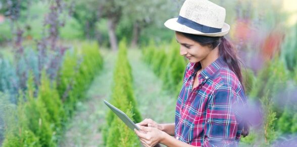 Finding the right gardener candidate