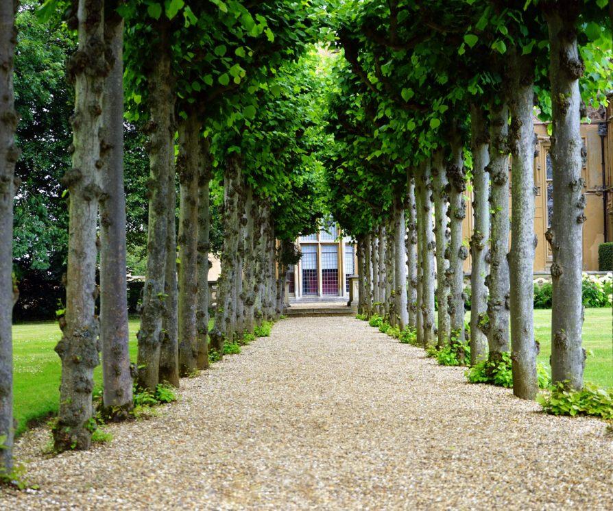 Front walkway lined with trees, leading up to a large private home