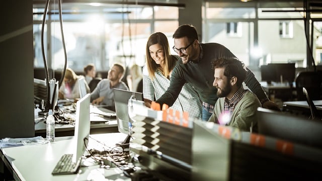 Developers working in office