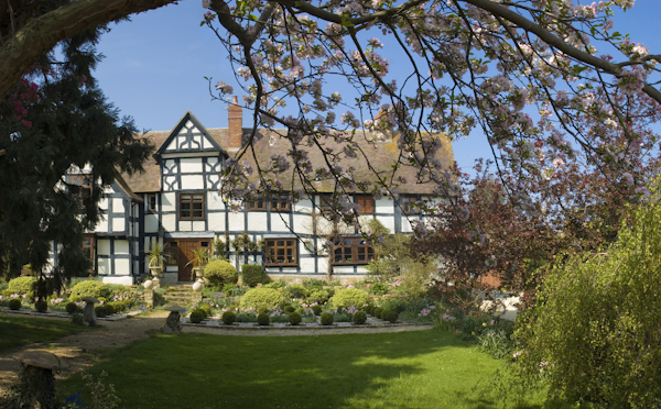 Large thatched house and garden