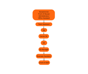 large business pa progression